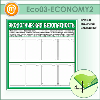     8  (ECO-03-ECONOMY2)